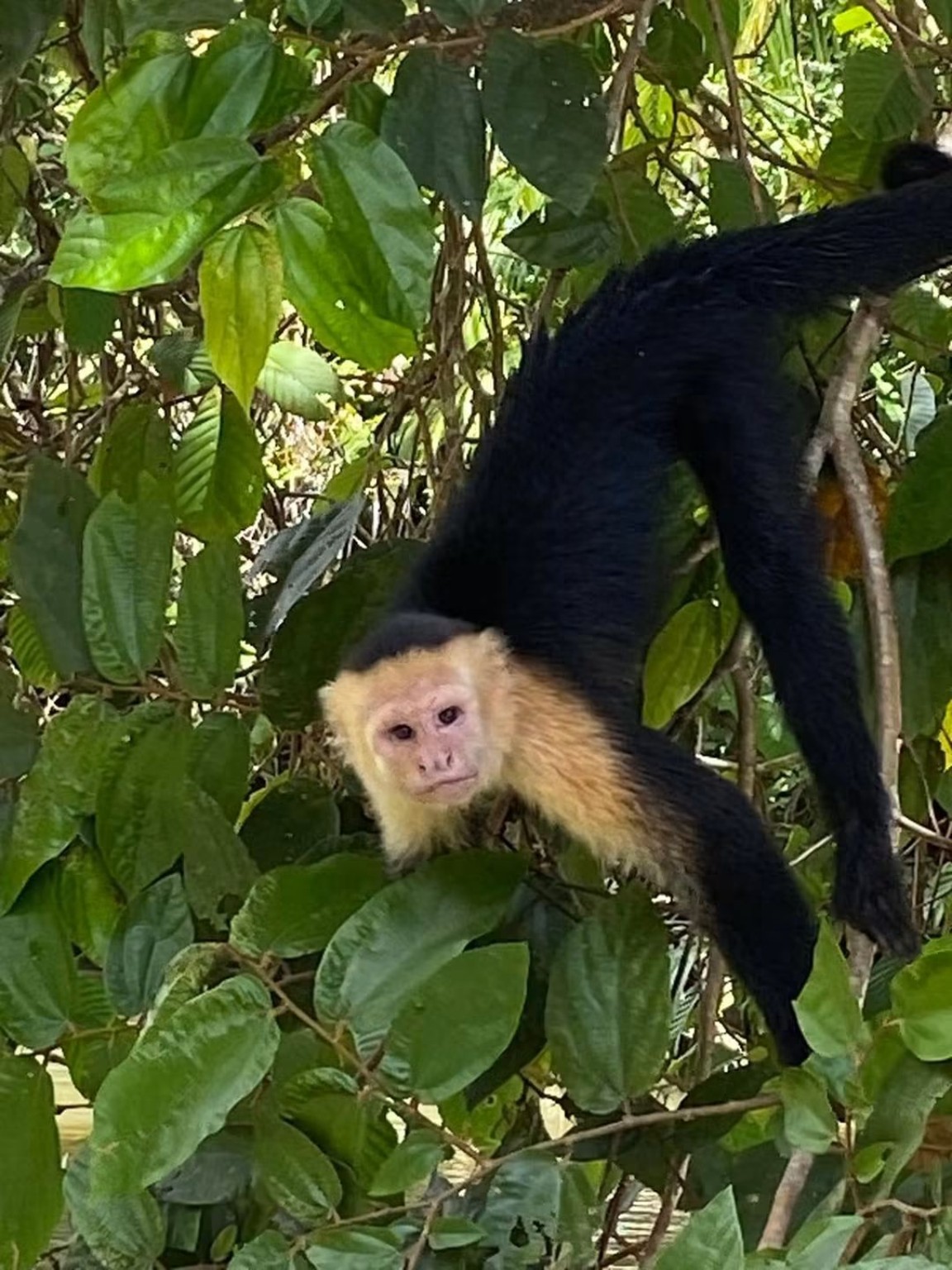 La Ceiba EcoAdventures